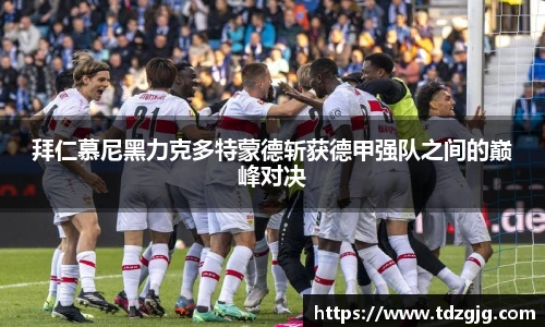 emc易倍