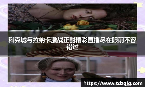 emc易倍体育