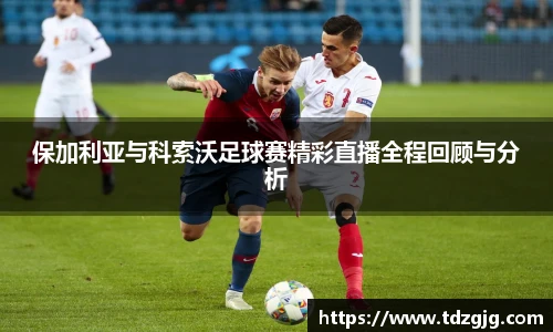 江南体育pp下载